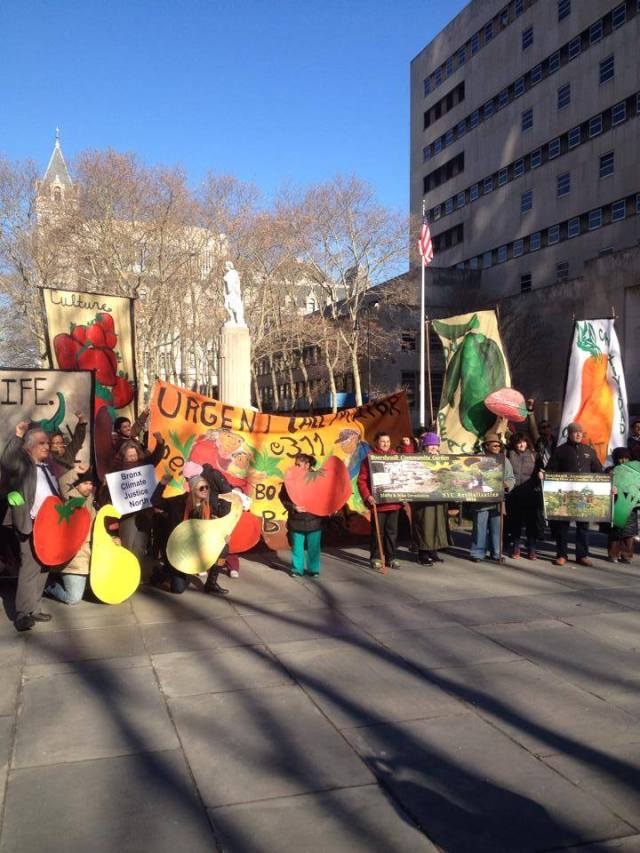 BCJN at 2014 12 Brooklyn Courthouse comm garden rally